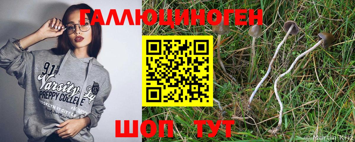 Псилоцибиновые грибы ЛСД Волхов
