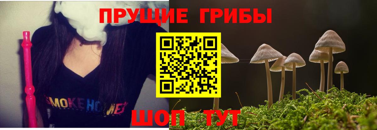 Волхов  Псилоцибиновые грибы ЛСД  Вход с VPN  где можно купить наркотик  Псилоцибиновые грибы MAGIC MUSHROOMS 