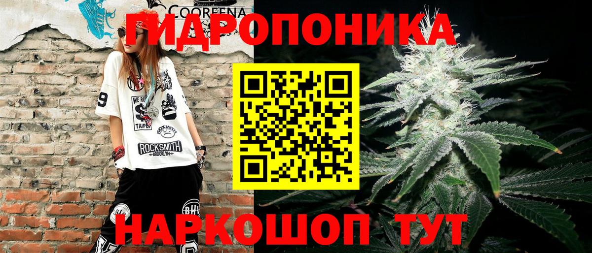 Конопля OG Kush  Конопля OG Kush  Волхов  Вход с VPN 
